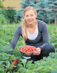 Erdbeer Selbstpl�cke